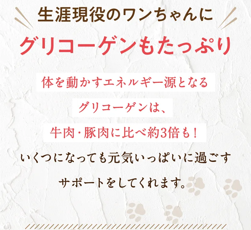 疲れ知らずのワンちゃんに　グリコーゲンもたっぷり　エネルギー源となるグリコーゲンは牛肉・豚肉に比べ約3倍も！いくつになっても元気いっぱいに過ごすサポートをしてくれます。